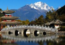 Vận chuyển hàng hóa đi Trung Quốc bằng đường biển