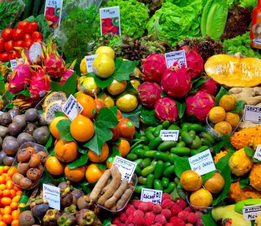 Nông sản miền Tây kém cạnh tranh vì thiếu trung tâm logistics Indochina Post