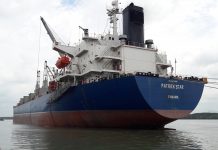 Quy trình và dịch vụ xuất khẩu rau củ quả qua Anh Quốc