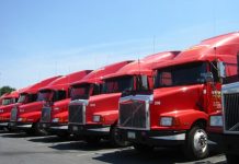 Transimex (TMS) muốn phát hành 200 tỷ đồng trái phiếu chuyển đổi để đầu tư vào các công ty logistics