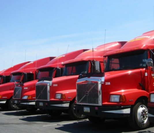 Transimex (TMS) muốn phát hành 200 tỷ đồng trái phiếu chuyển đổi để đầu tư vào các công ty logistics