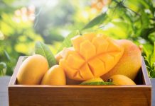 Xuất khẩu xoài từ Việt Nam vào Hoa Kỳ tăng mạnh