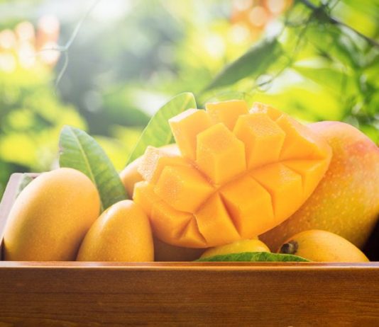 Xuất khẩu xoài từ Việt Nam vào Hoa Kỳ tăng mạnh